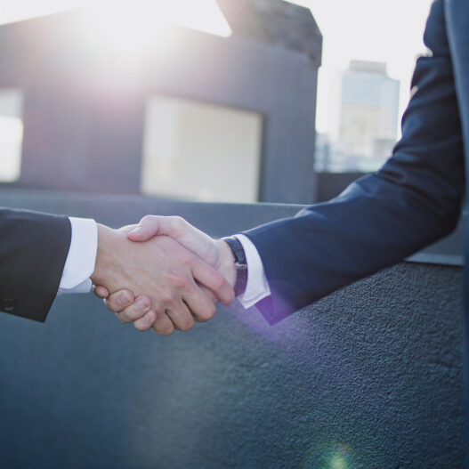 expanda seus negocios